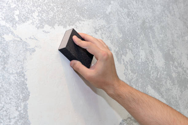 Best Mold Remediation for Healthcare Facilities  in North Bend, NE