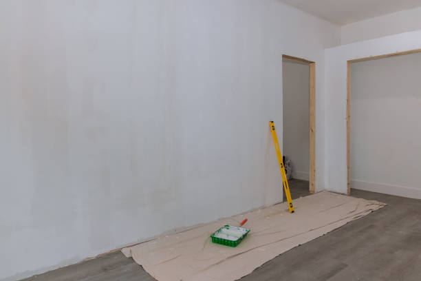 Best Basement Mold Removal  in North Bend, NE